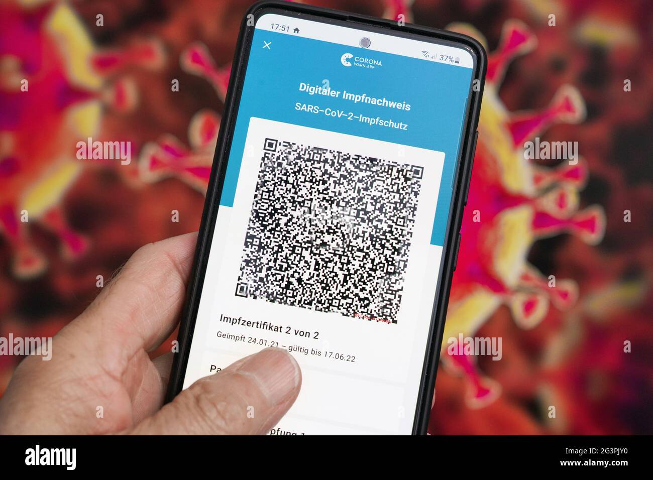 QR-Code, das digitale Impfzertifikat in der Corona Warn-App auf einem Smartphone bestätigt eine abgeschlossenen Impfung gegen Covid-19. - ACHTUNG! QR-Code und persönliche Angaben sind unkenntlich gemacht! Stock Photo