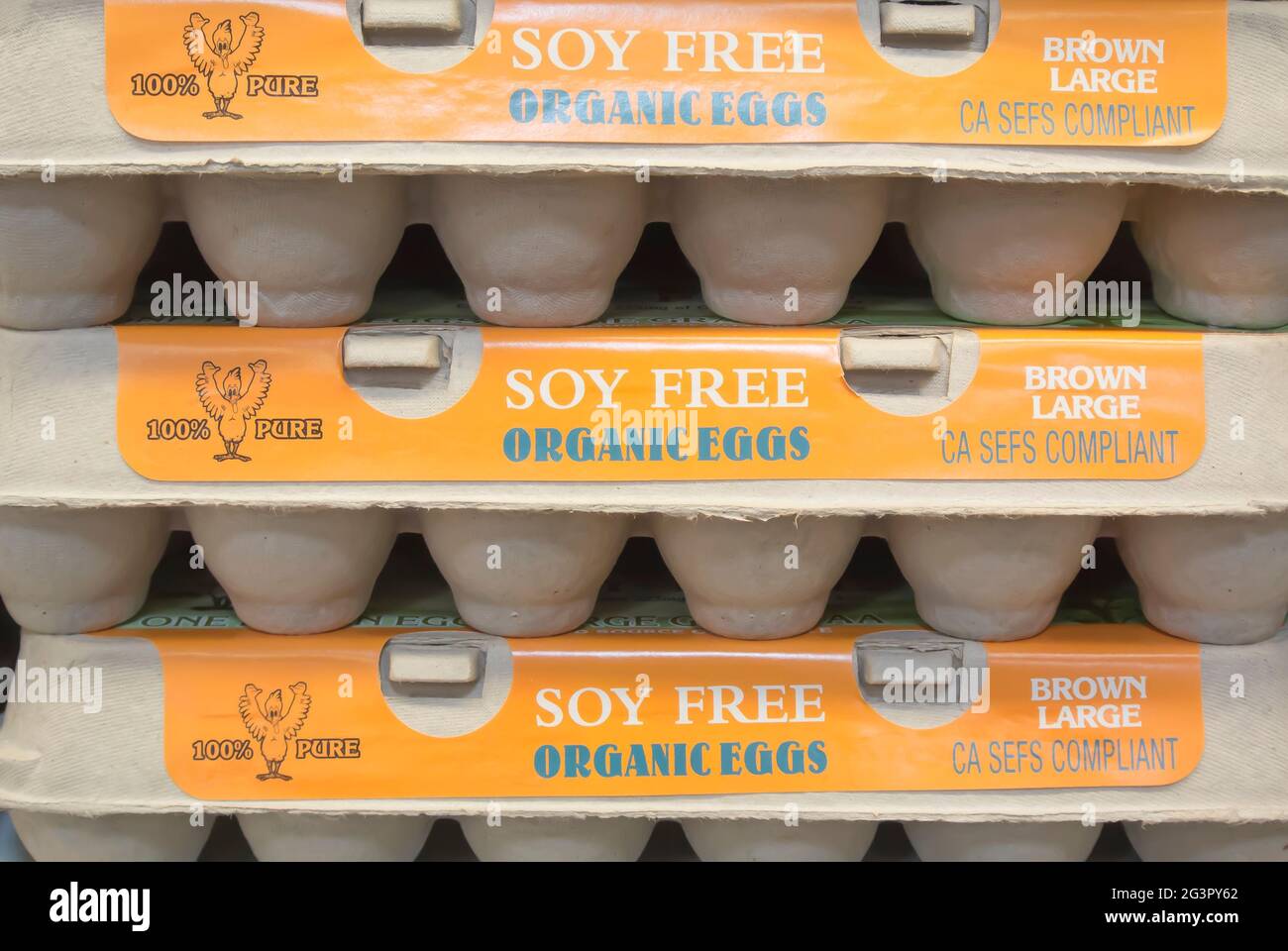 Three Dozen Eggs in Cartons Stock Photo