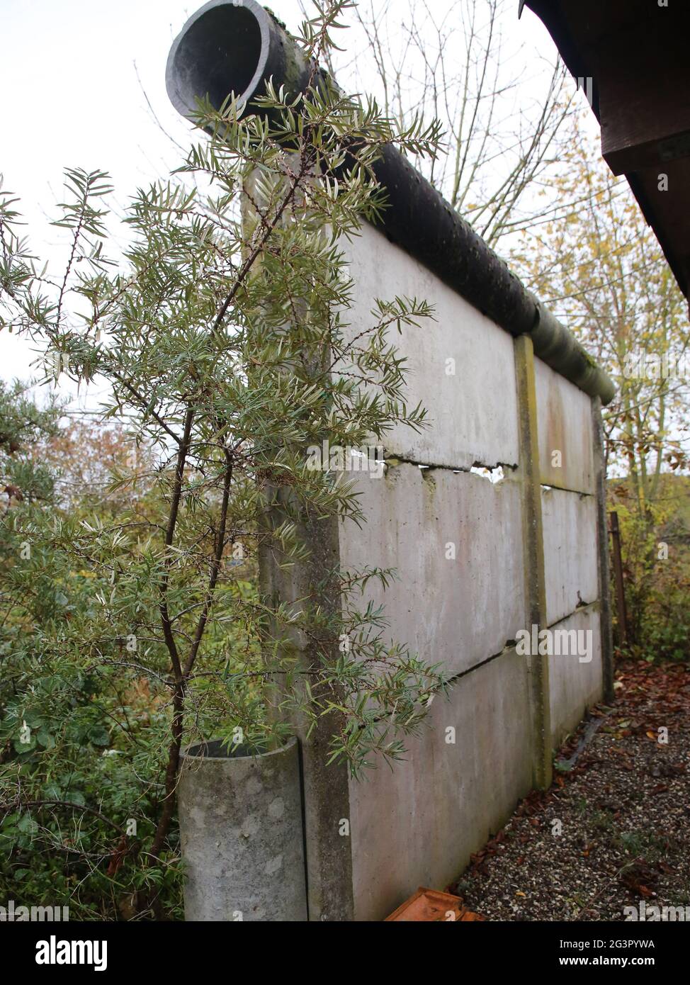 Memorial against forgetting in Teschow - concrete elements of the former GDR border wall Stock Photo