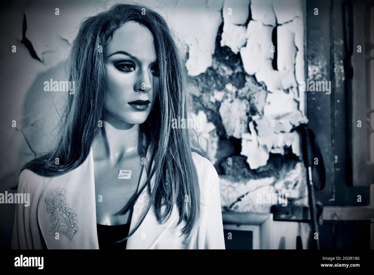 Female mannequin in Antique Store in Chester, New Jersey, USA Stock