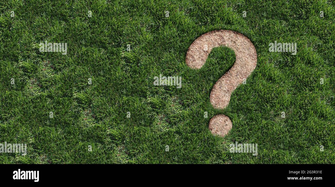 Landscaping questions and Lawn disease question mark as grub damage or chinch larva damaging grass roots causing a brown patch and drought. Stock Photo