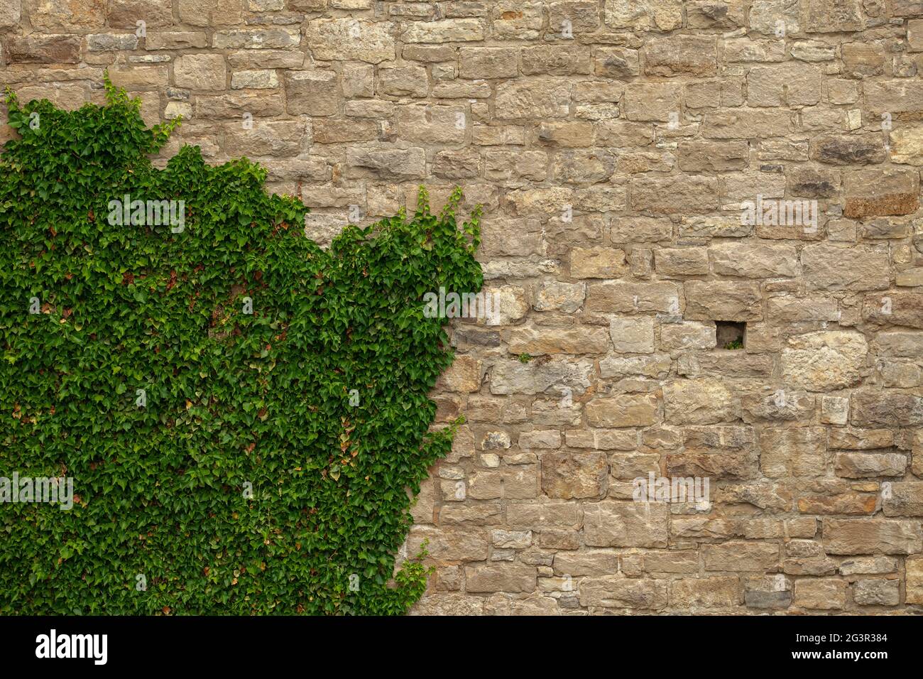 Brick wall of an old ashlar castle. Stock Photo