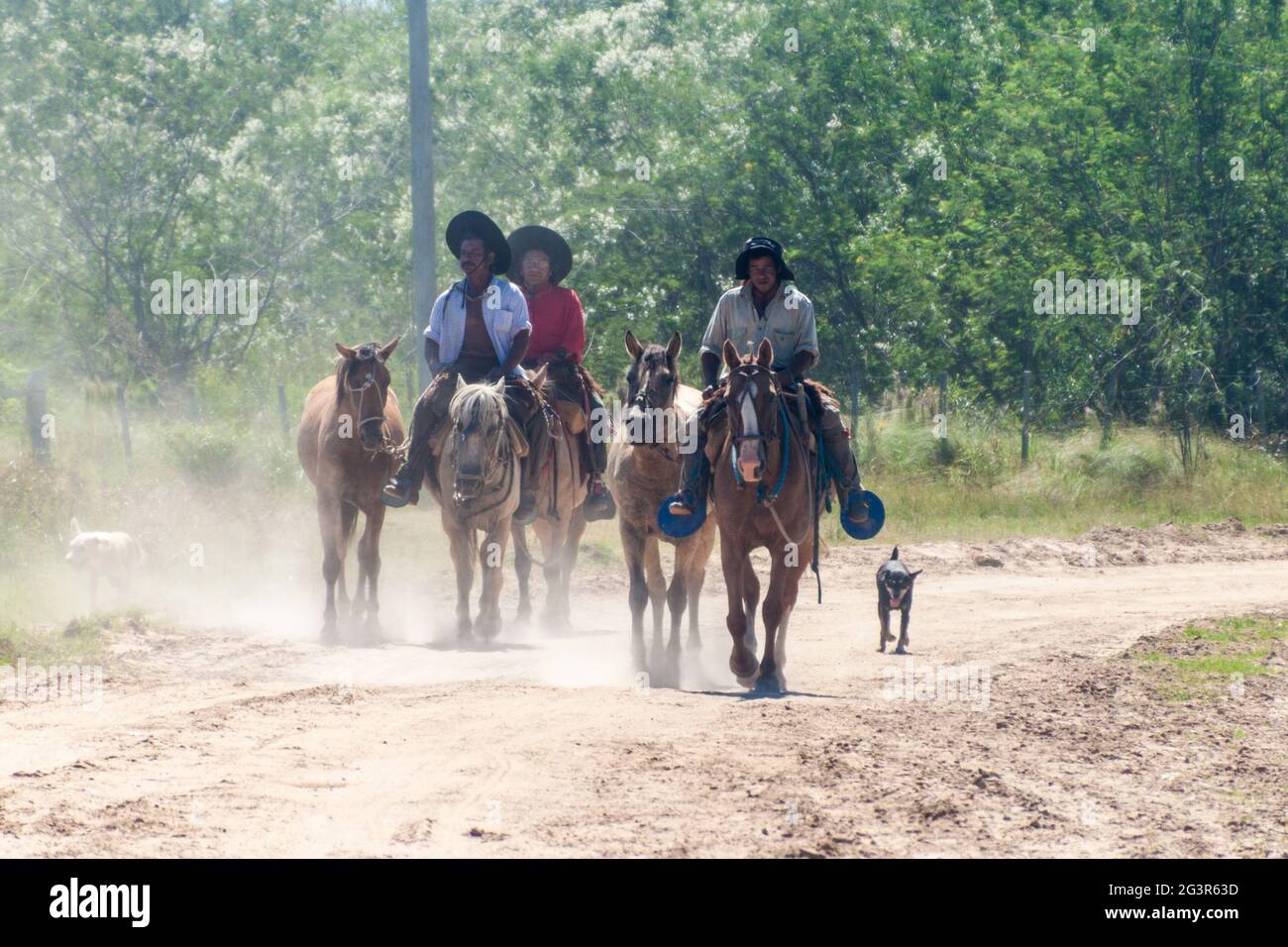 COLONIA PELLEGRINI, ARGENTINA - FEB 14, 2015: Gaucho people on horses on a dust road in Colonia Pellegrini in Esteros del Ibera, Argentina Stock Photo