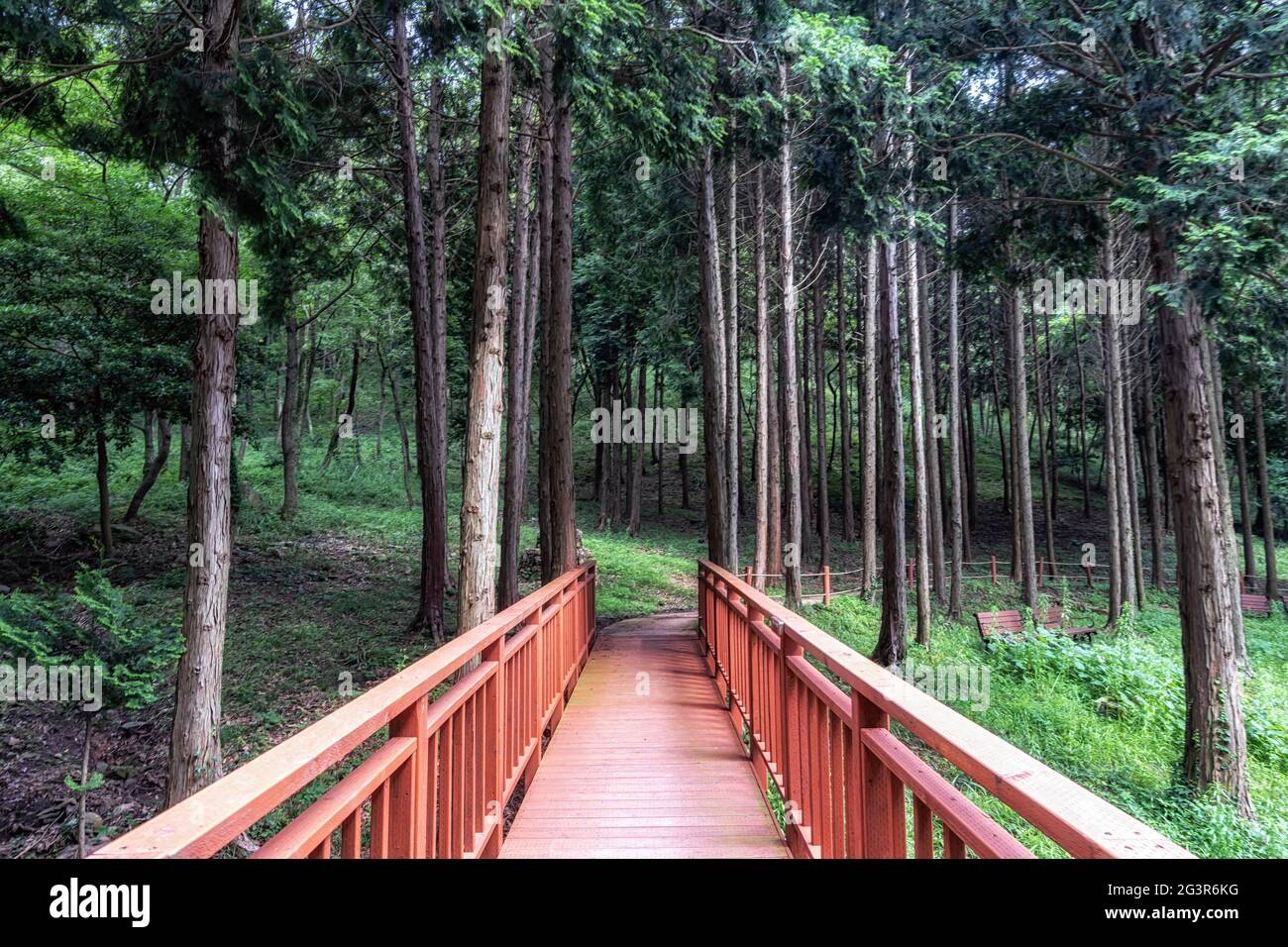 Mujangye forest trail in jindo Stock Photo
