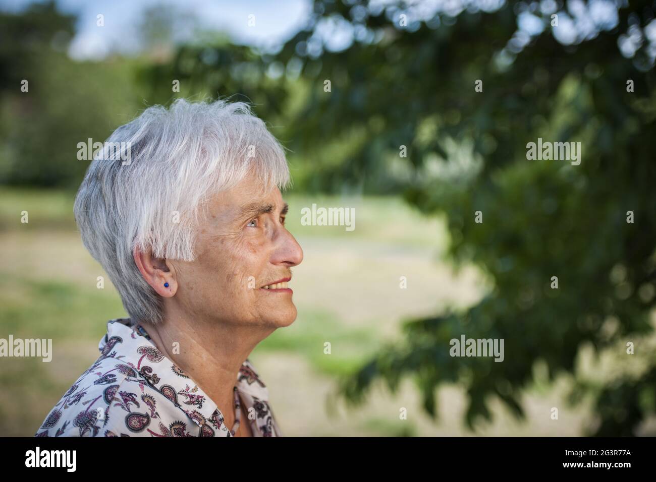 Old woman side profile white background hi-res stock photography and