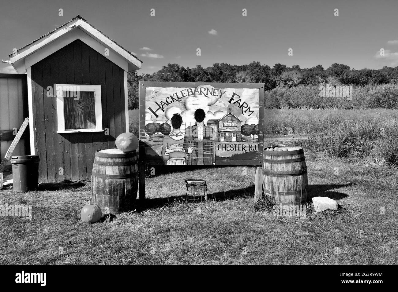 Hacklebarney Farm, Chester New Jersey, USA.  Seasonal farm for Apples, Pumpkins, Corn, it is a “Pick Your Own” or PYO farm. Stock Photo