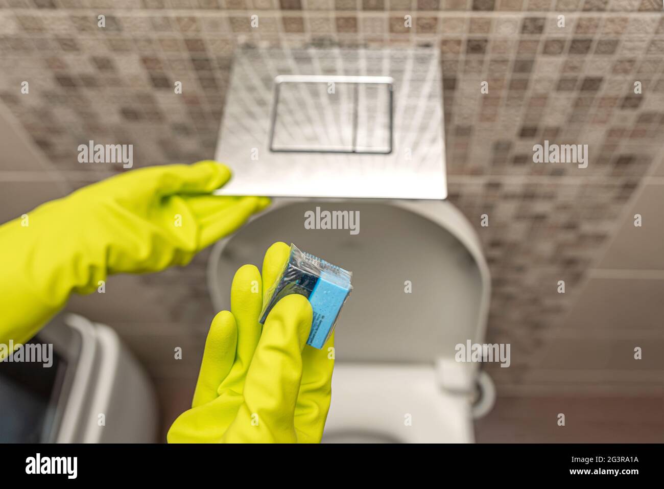 Toilet cubes cleaner in hand. A hand lowers a disinfectant cube into