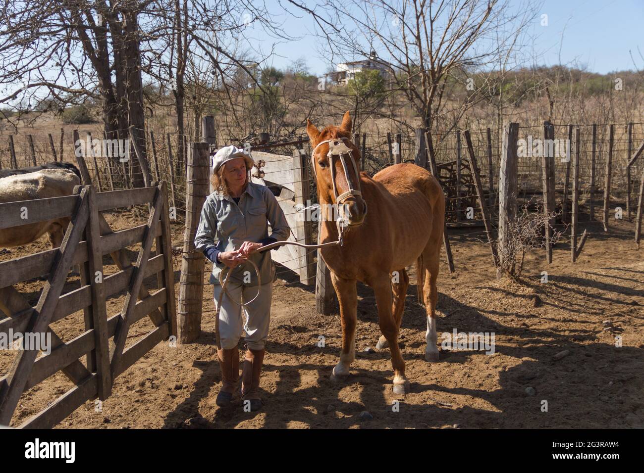 Rural woman working in the field leading horse Stock Photo