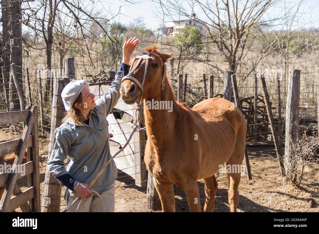 Rural woman working in the field leading horse Stock Photo