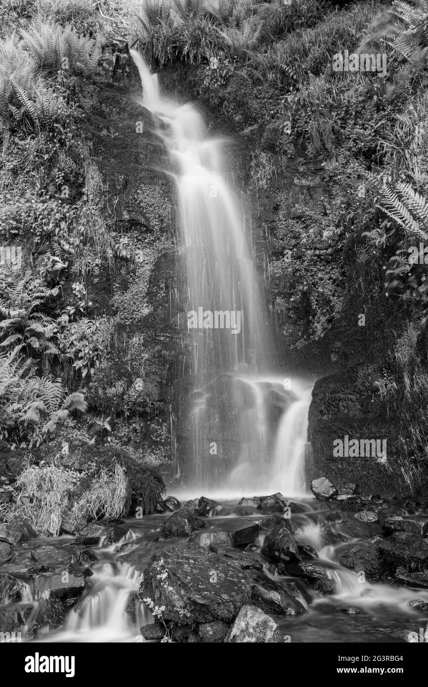 Freshwater bay Black and White Stock Photos & Images - Alamy