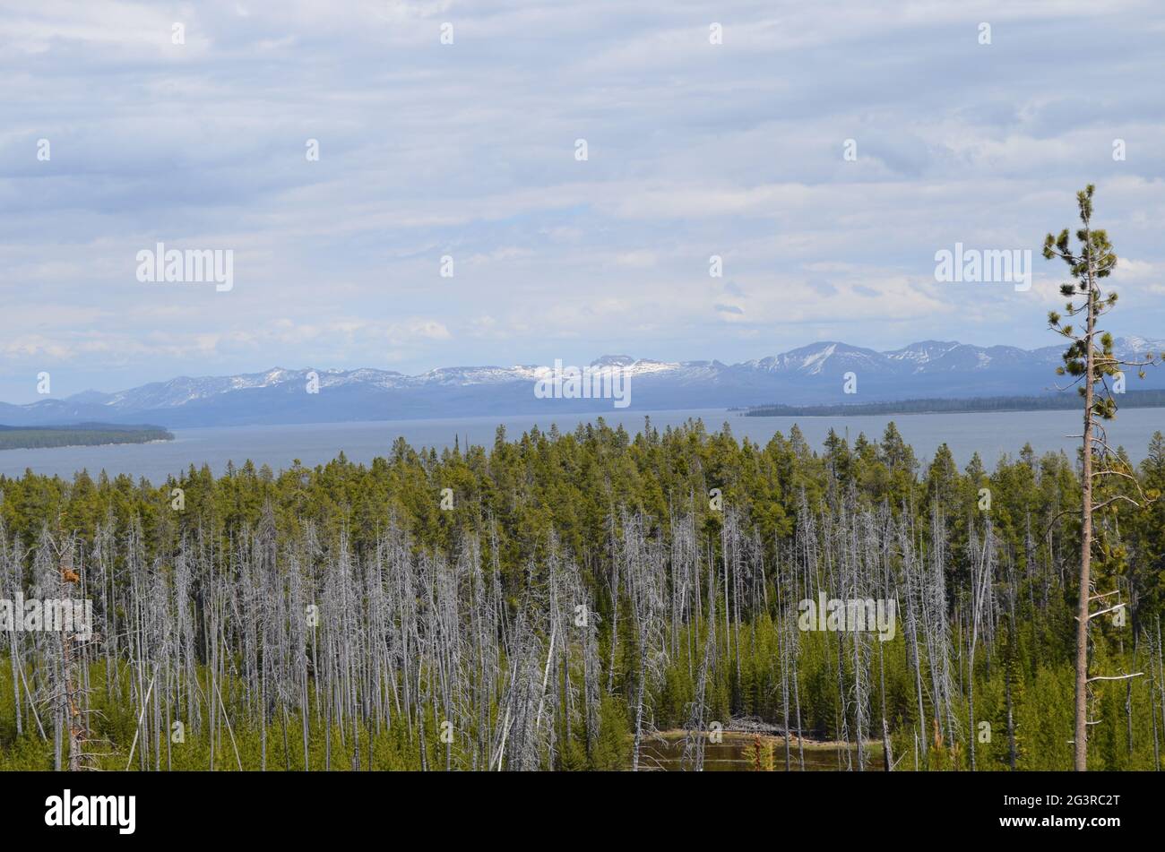 Spring in Yellowstone National Park: Yellowstone Lake, Lake Butte, Cathedral Peak, Silvertip Peak and Avalanche Peak Seen from Along Grand Loop Road Stock Photo