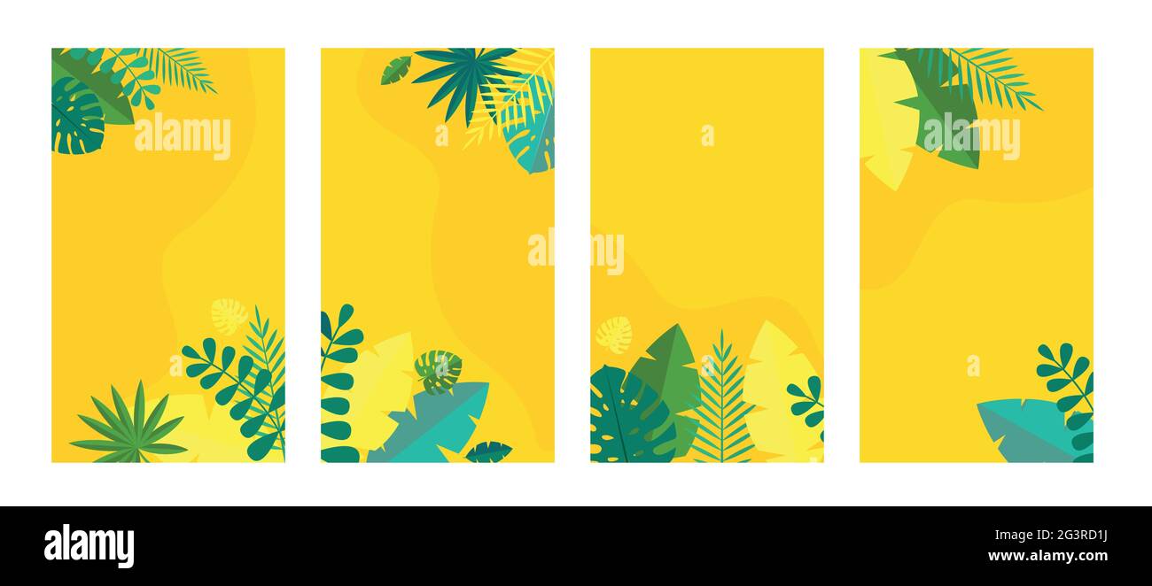 Simple Tropical Palm and Motstera Leaves Natural set Background. Vector Illustration EPS10 Stock Vector