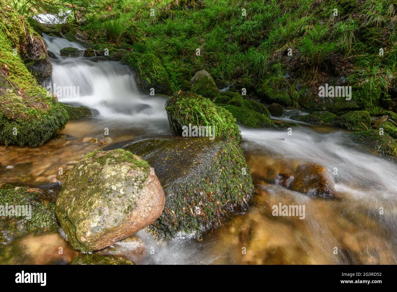 Mountain torrent in the Vosges. Charlemagne waterfall on the Vologne. Stock Photo