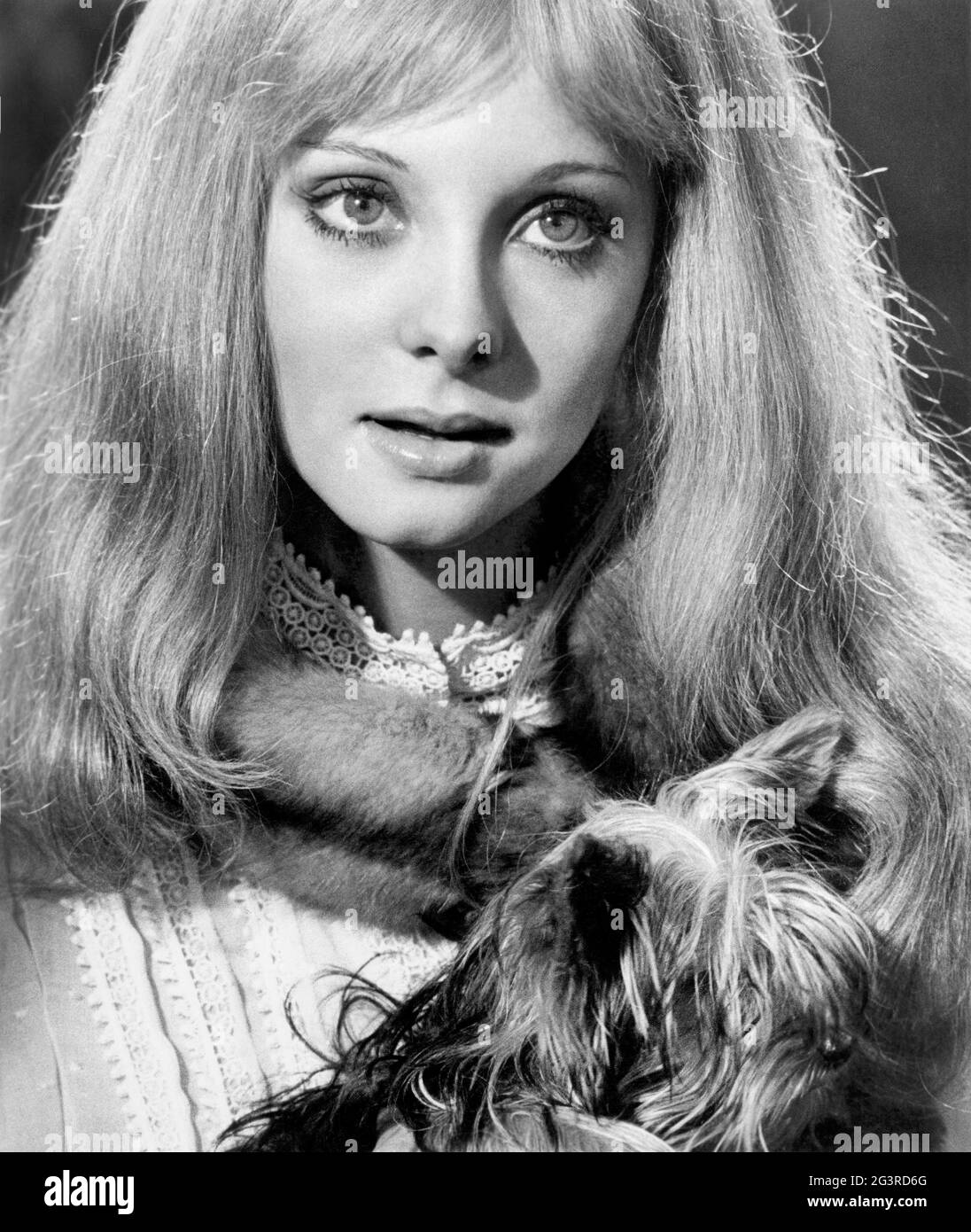 Genevieve Waite, Head and Shoulders Publicity Portrait, on-set of the Film, 'Move', 20th Century-Fox, 1970 Stock Photo