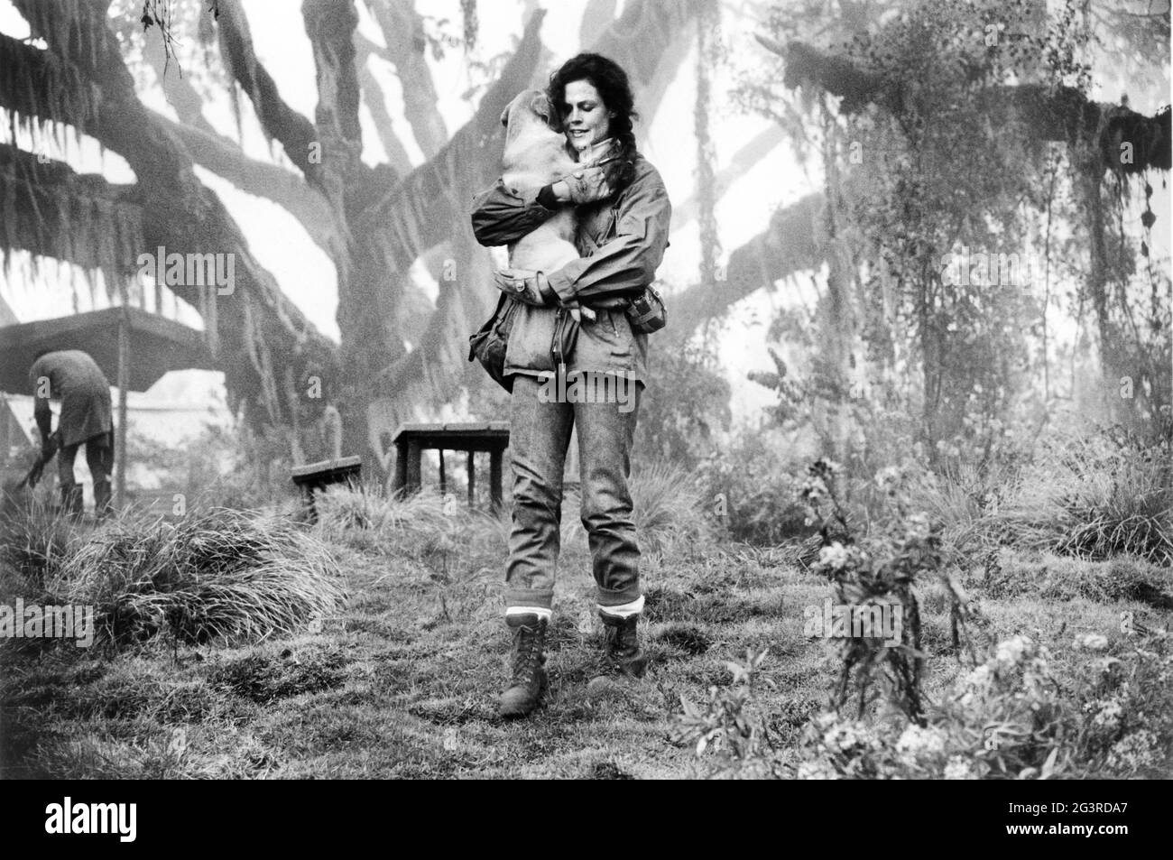 Sigourney Weaver, FullLength Portrait, onset of the Film, "Gorillas