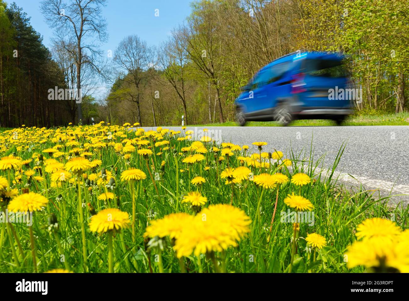 Fast car spring morning Stock Photo