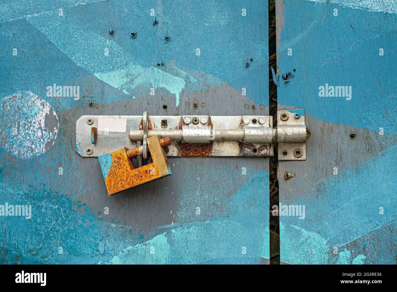 Rusty padlock attached to bolt on blue painted door Stock Photo Alamy