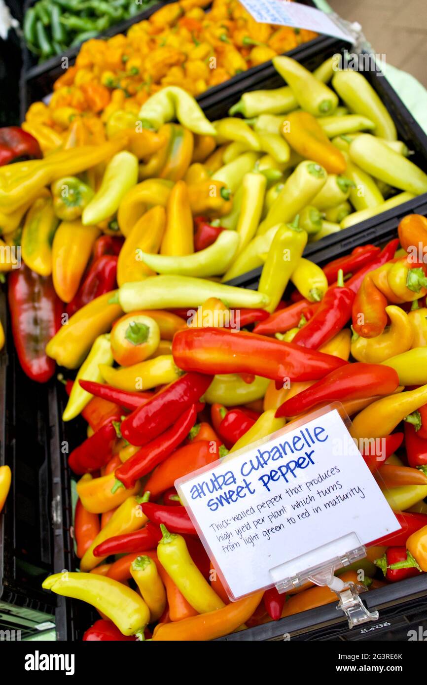 Aruba Cubanelle Sweet Peppers at Farmer’s Market in Washington, DC, USA.  Overhead angle of full container. Stock Photo