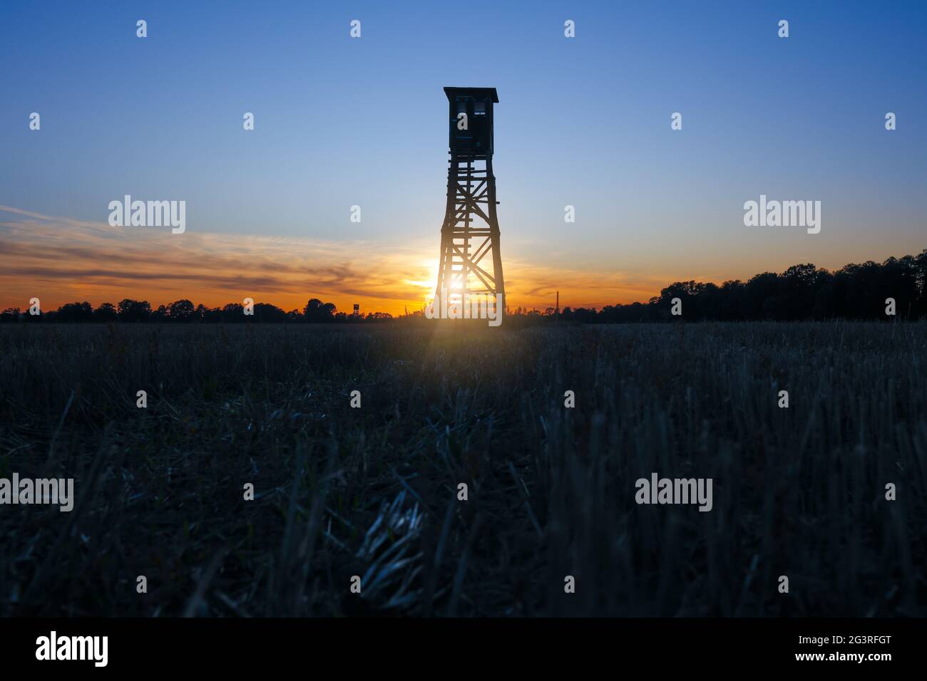 Hunting season, hunting ground, autumn, sunset, high seat, harvested field, forestry, hunters pearch Stock Photo