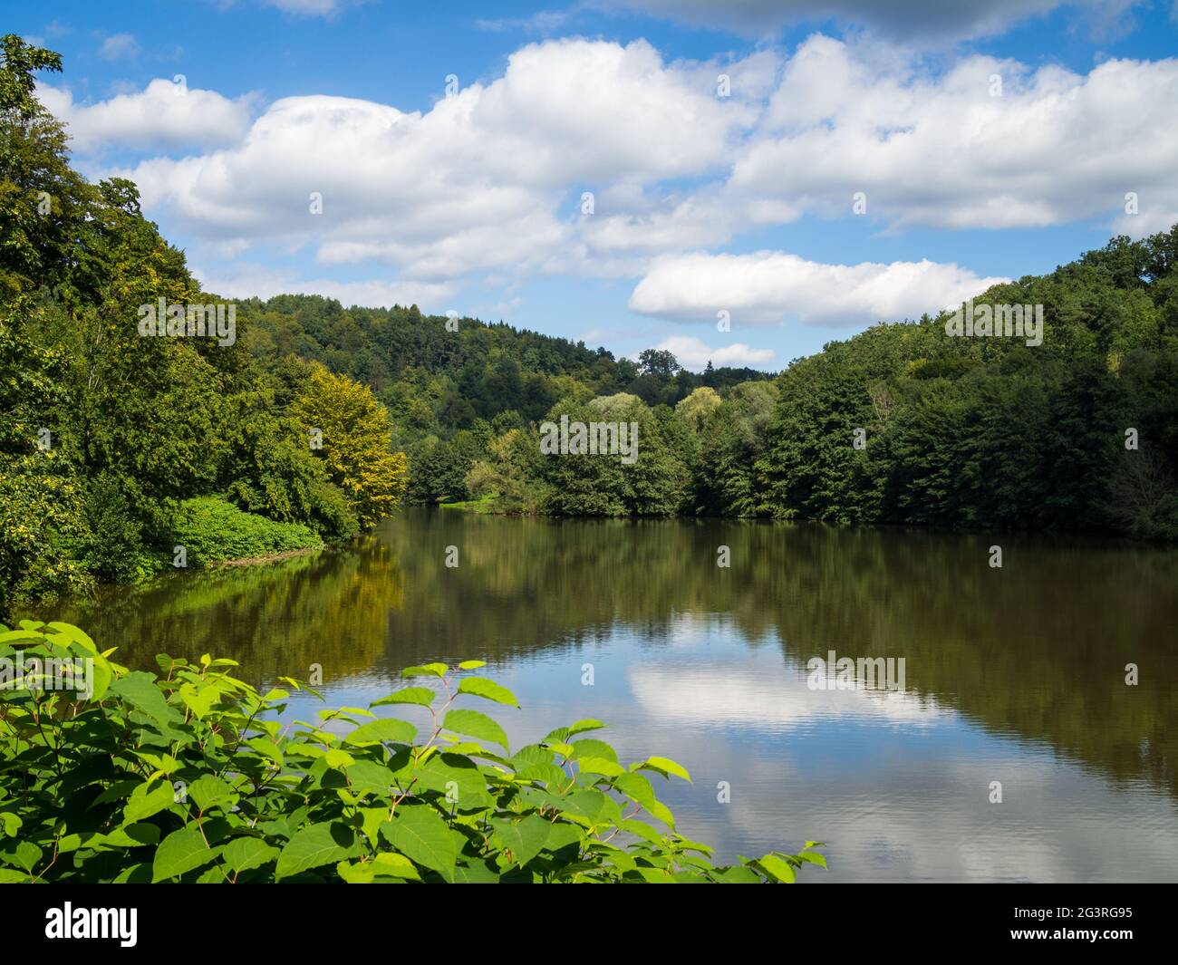 Nice lake with surrounding forest and plants Stock Photo