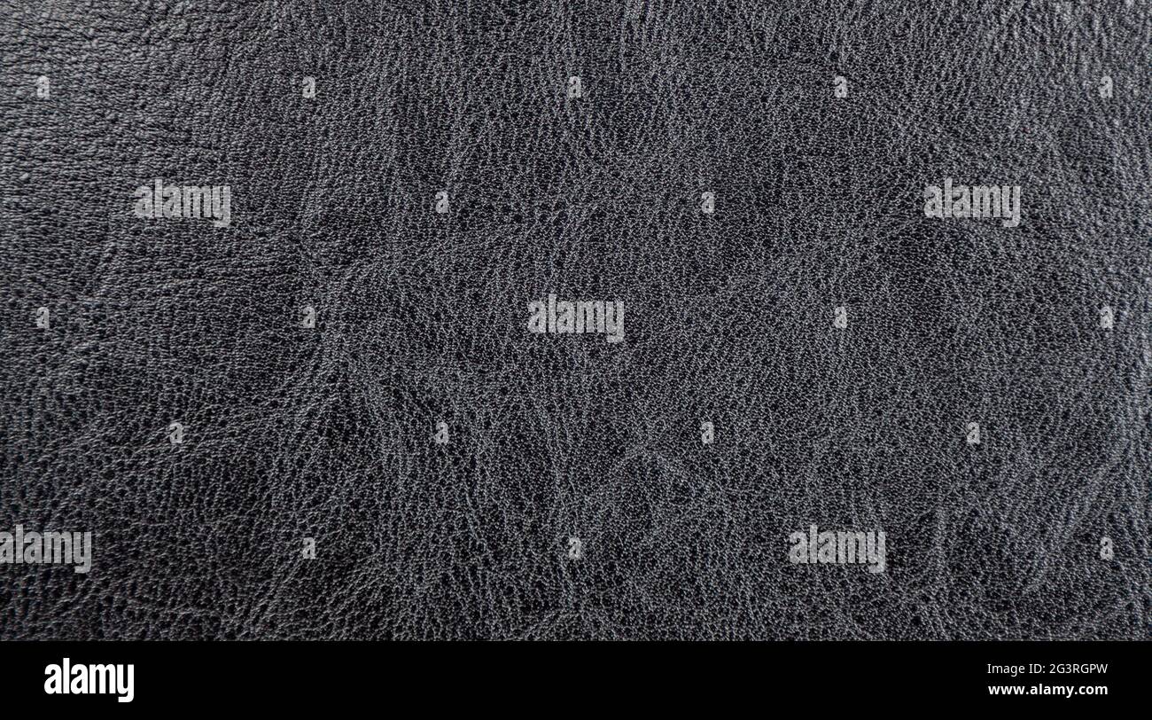 Background image - gray leather with an abstract texture. Stock Photo