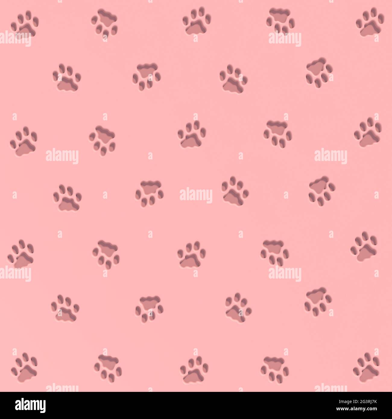 Many cat tracks on pink background Stock Photo