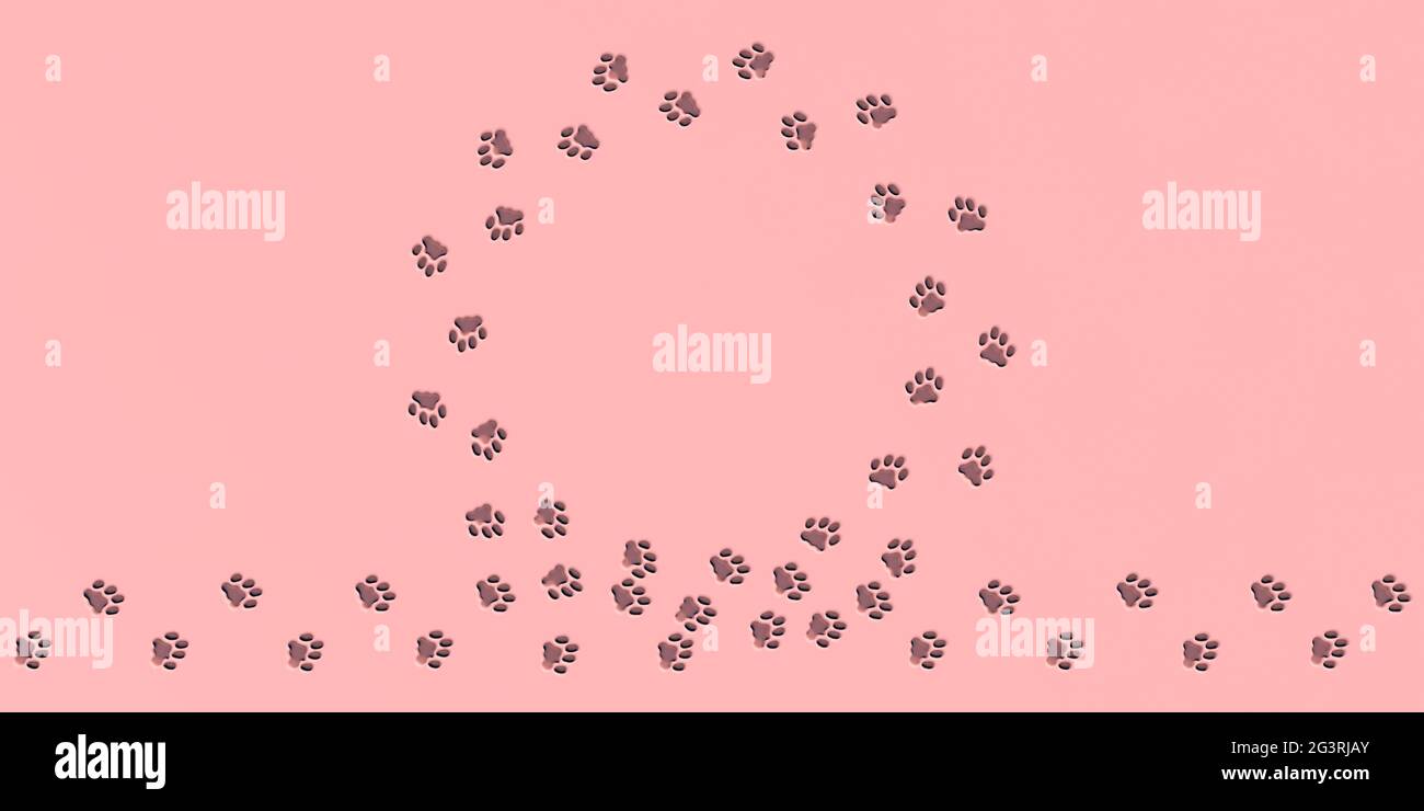 Cat tracks in circle on pink background Stock Photo