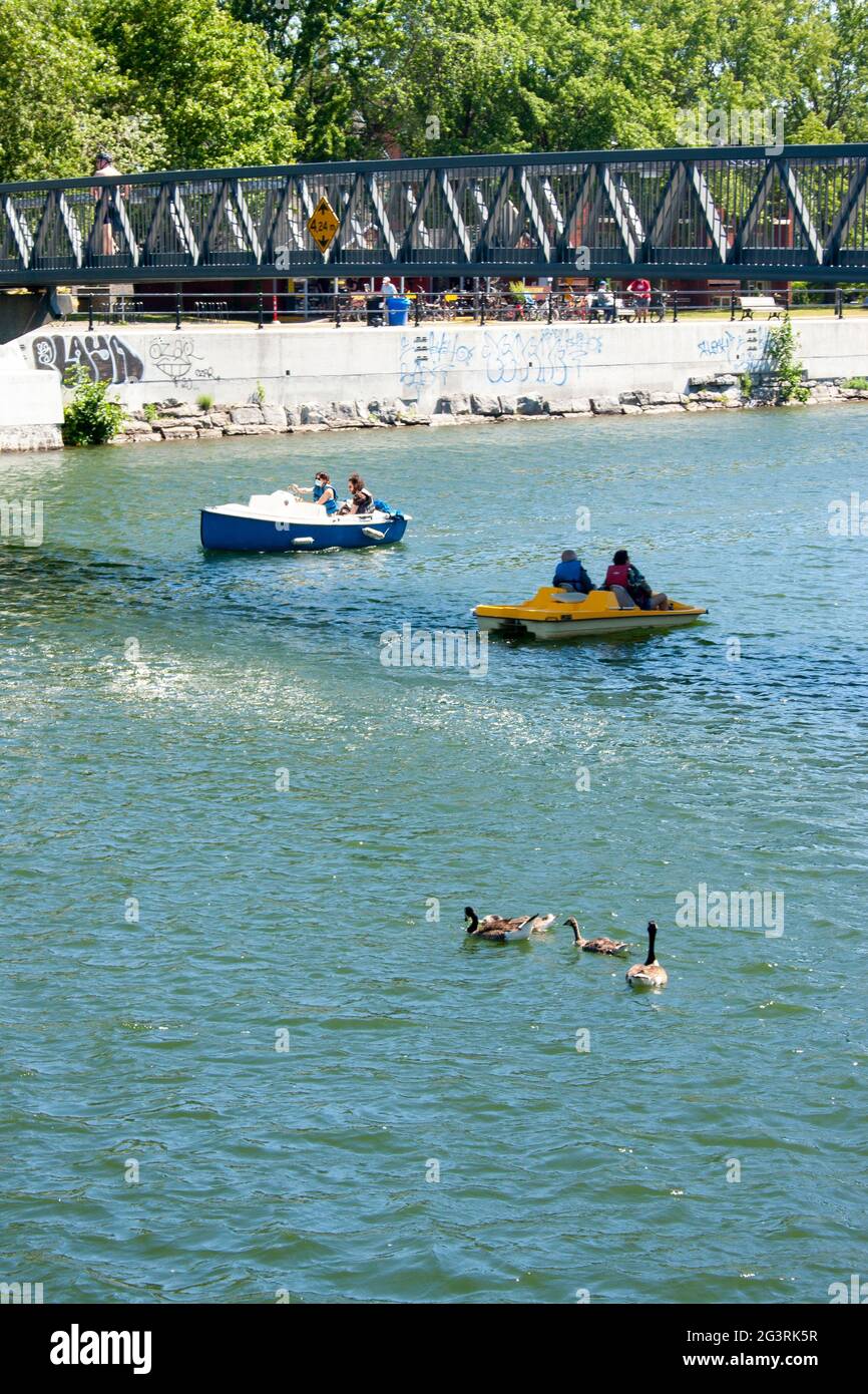 A family of Canada geese swim in the Lachine Canal under the Atwater Market footbridge overhead and boats passing Stock Photo