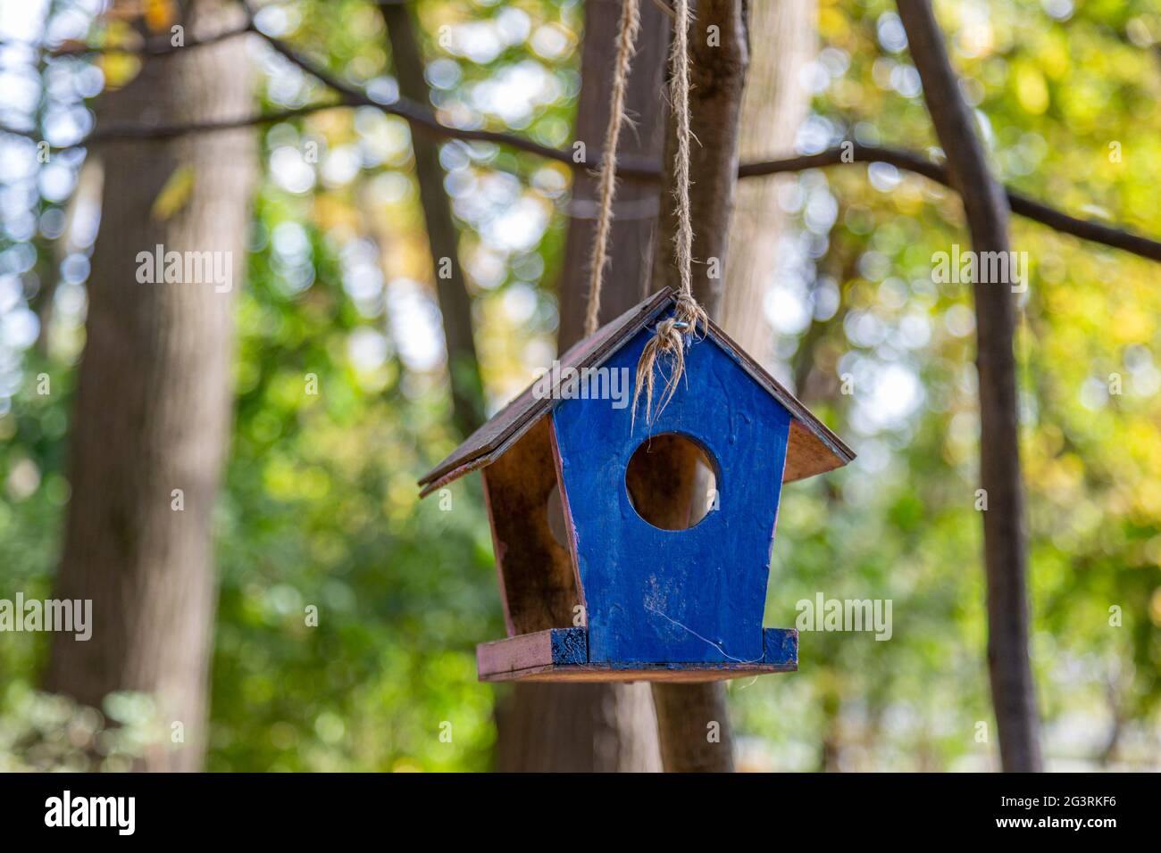 Empty feeder for birds in the park Stock Photo Alamy