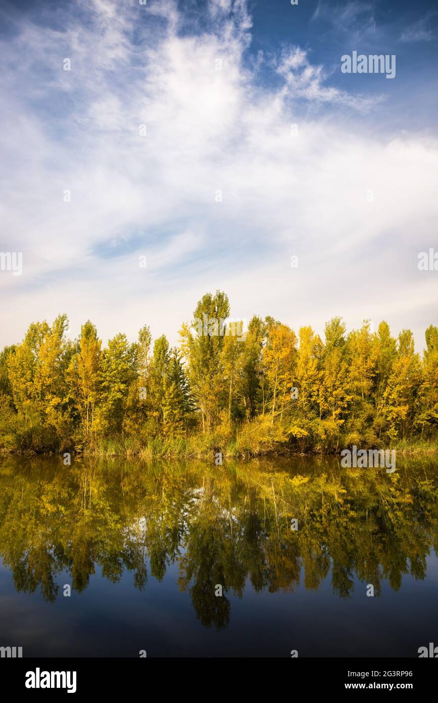 Reflection of autumn foliage in a lake Stock Photo