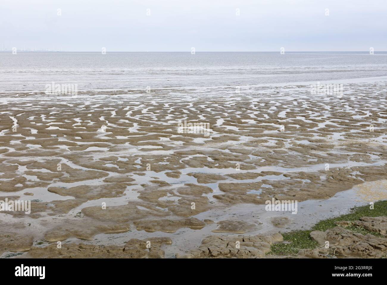 Low tide at the National park Waddensea Stock Photo