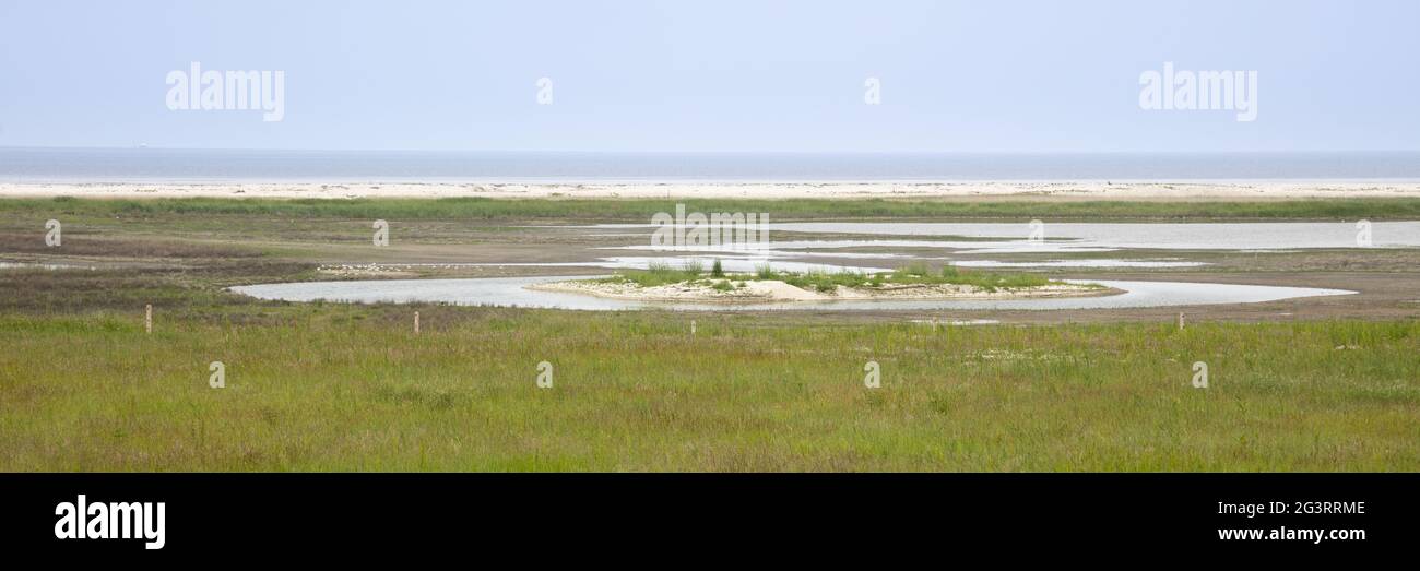 Low tide at the National park Waddensea Stock Photo