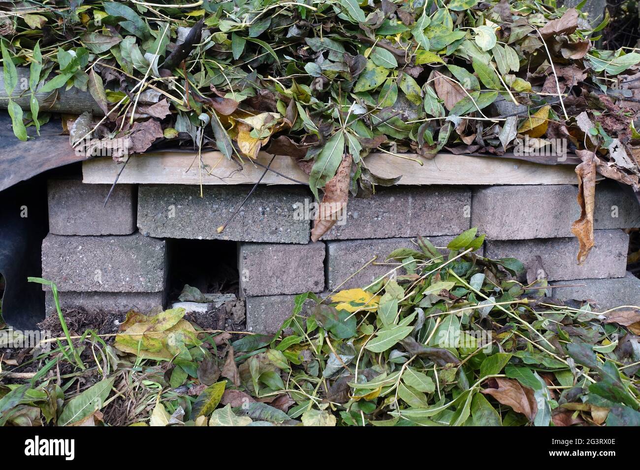Hedgehog house for the winter with roof made of wooden boards and waterproof pond liner, with autumn Stock Photo