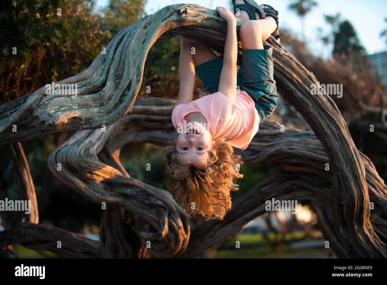 Child climbing tree. Smiling funny kid clim tree in the garden. Stock Photo