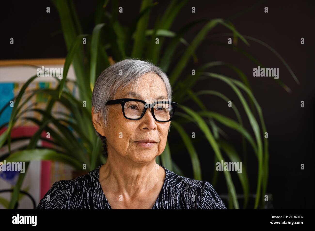 Woman short gray hair with glasses hi-res stock photography and images ...
