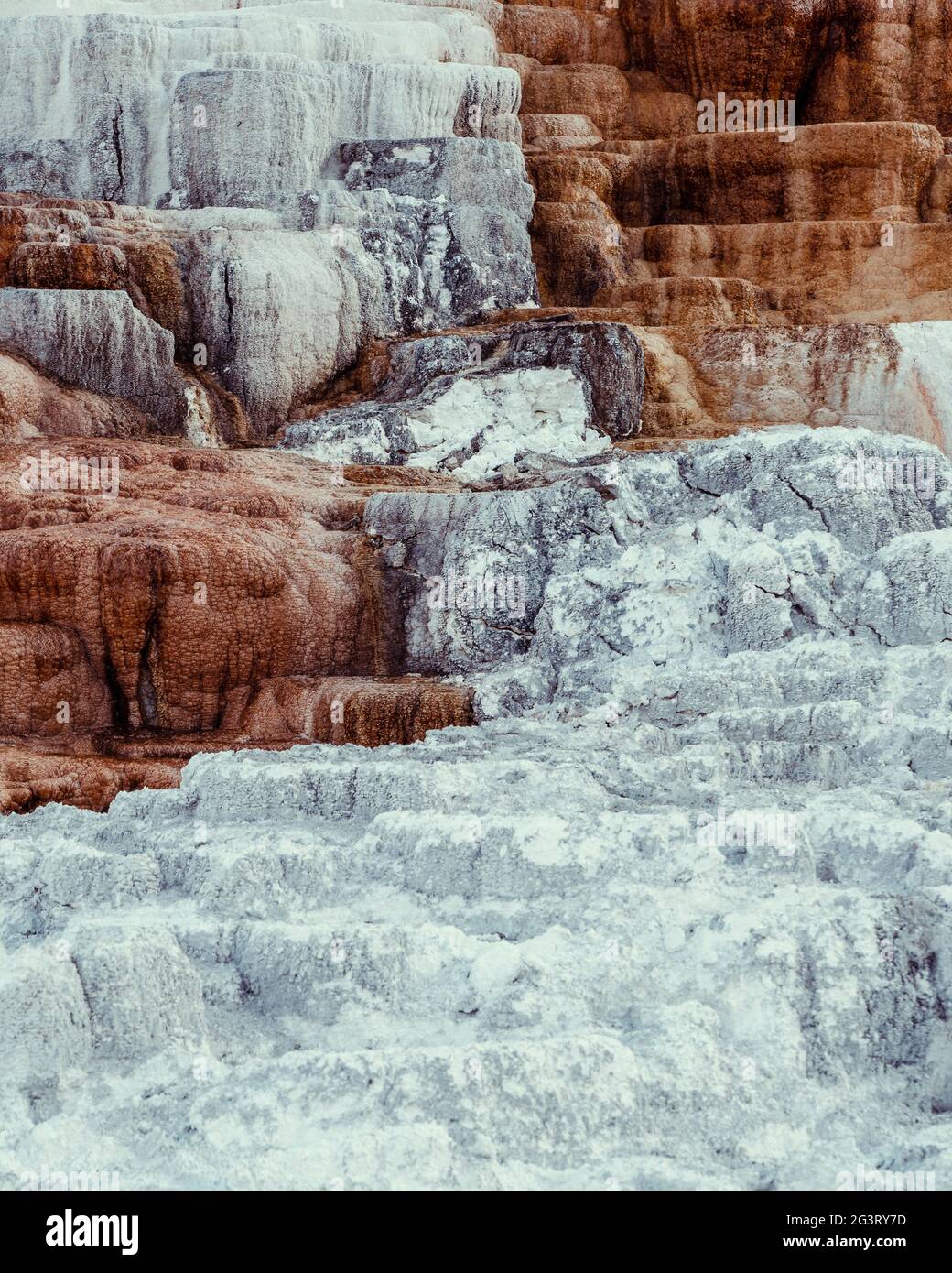 Details Of Mammoth Terraces In Yellowstone National Park Stock Photo details-of-mammoth-terraces-in-yellowstone-national-park-stock-photo