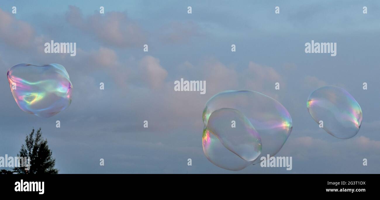 Iridescent soap bubbles floating in a cloudy evening sky Stock Photo