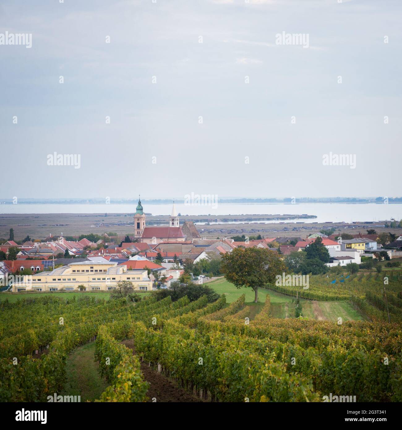 View of Village of Rust on lake Neusiedlersee in Burgenland Stock Photo ...