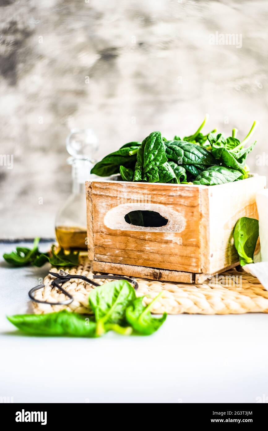 Organic food concept with fresh spinach Stock Photo