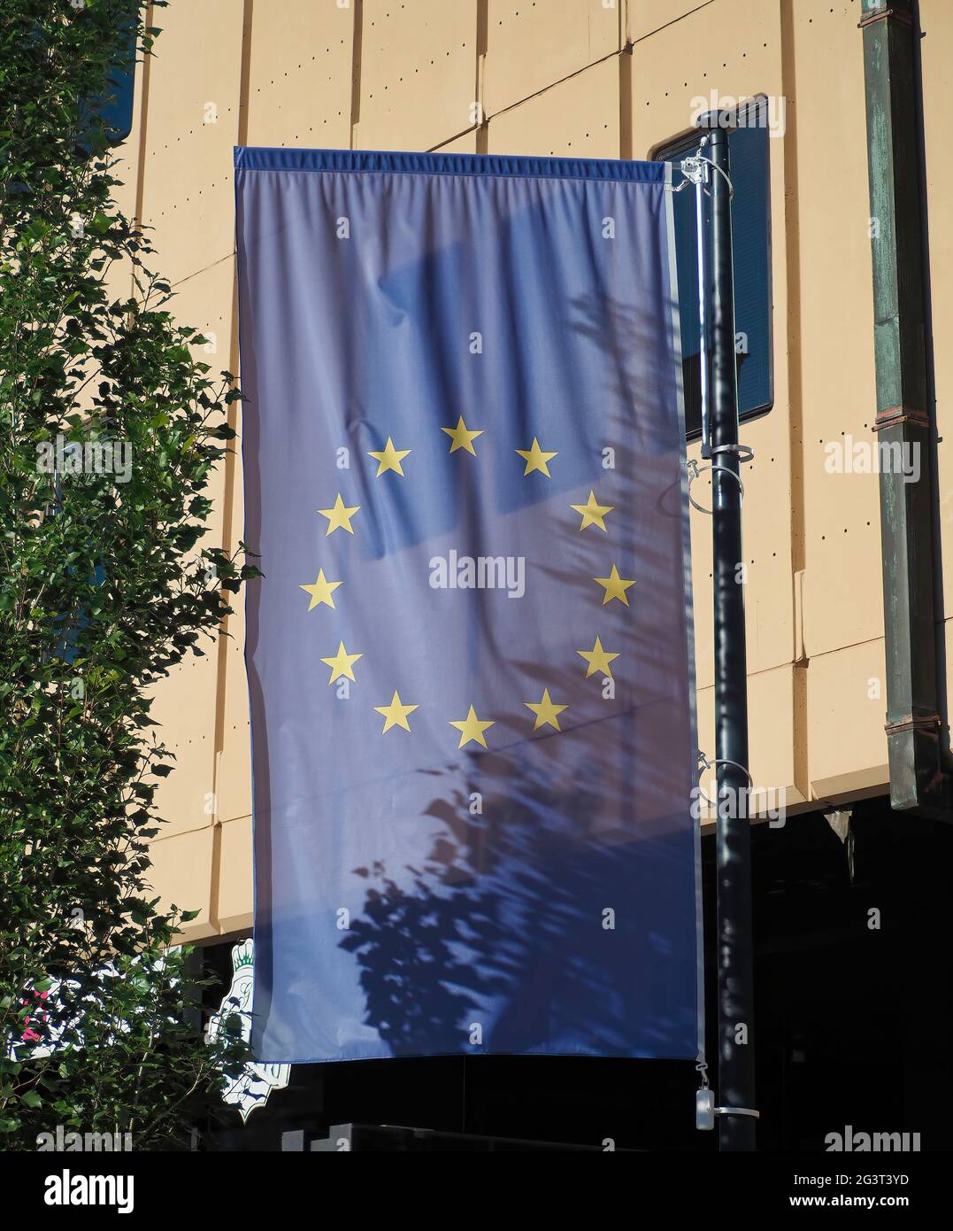 Vertical shot of the EU flag in front of a building Stock Photo