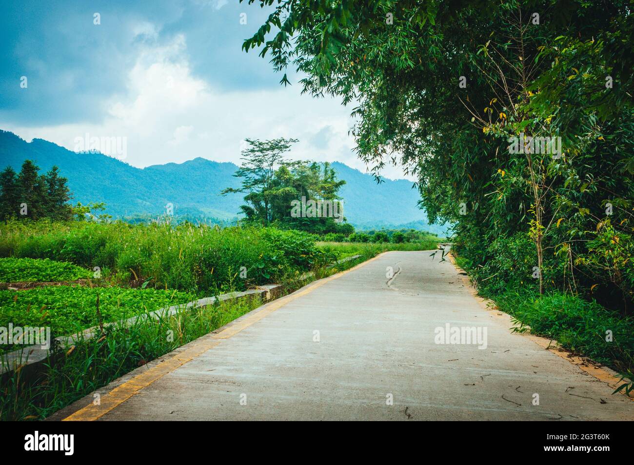 Countryside road in spring Stock Photo - Alamy