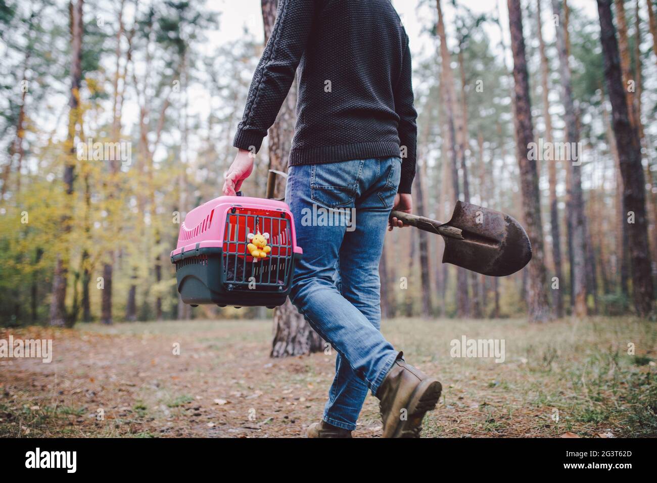 Is It Illegal To Bury A Dog In Florida