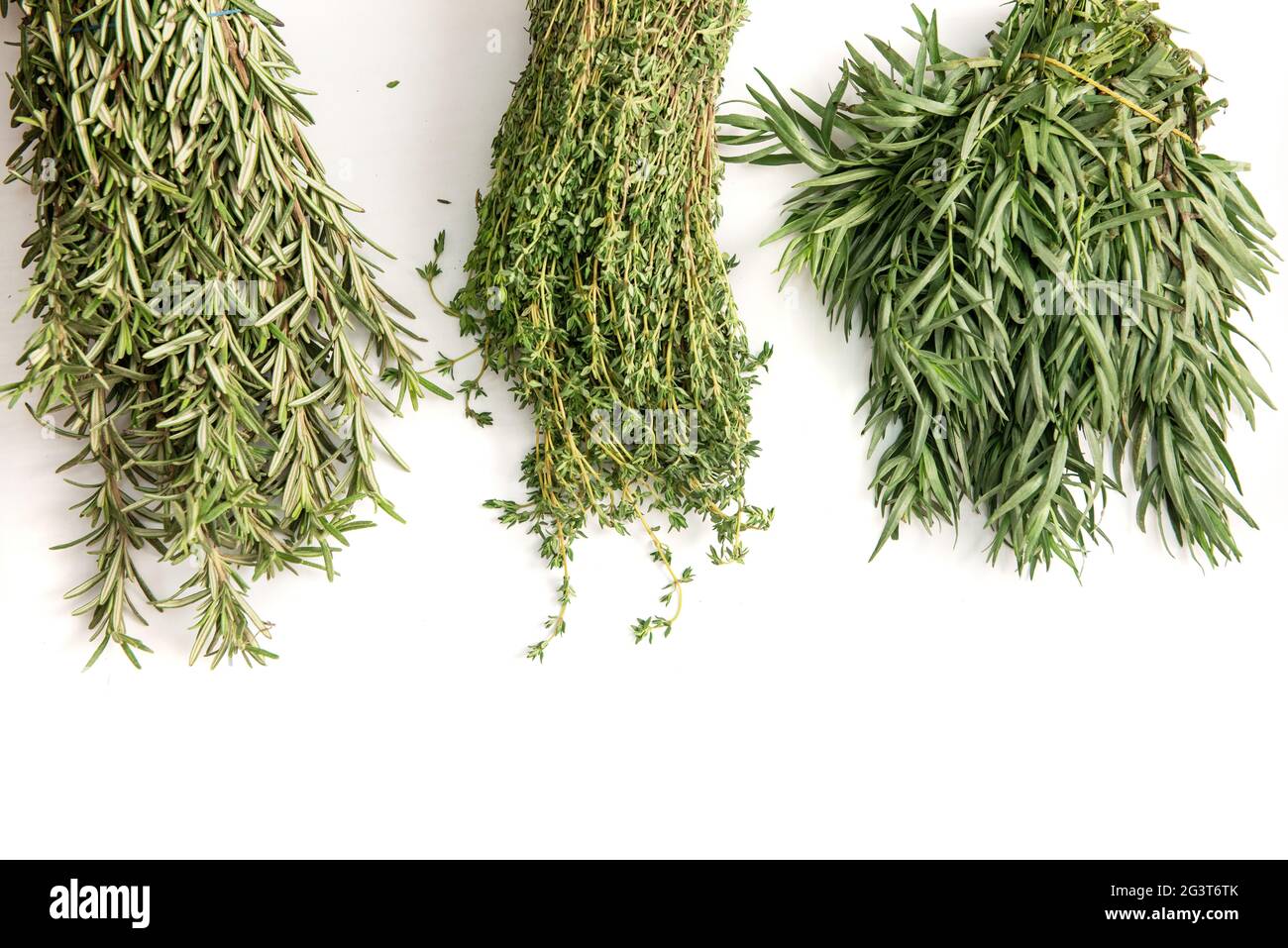 Thyme Rosemary Tarragon Stock Photo Alamy