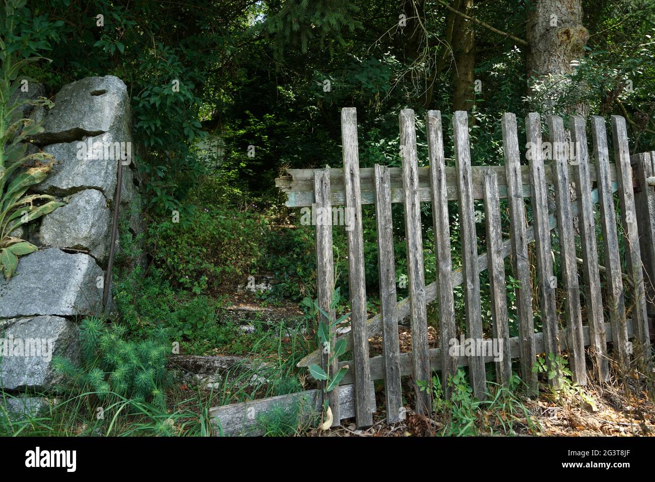 Closeup of an old wooden fence in front of a full forest during ...