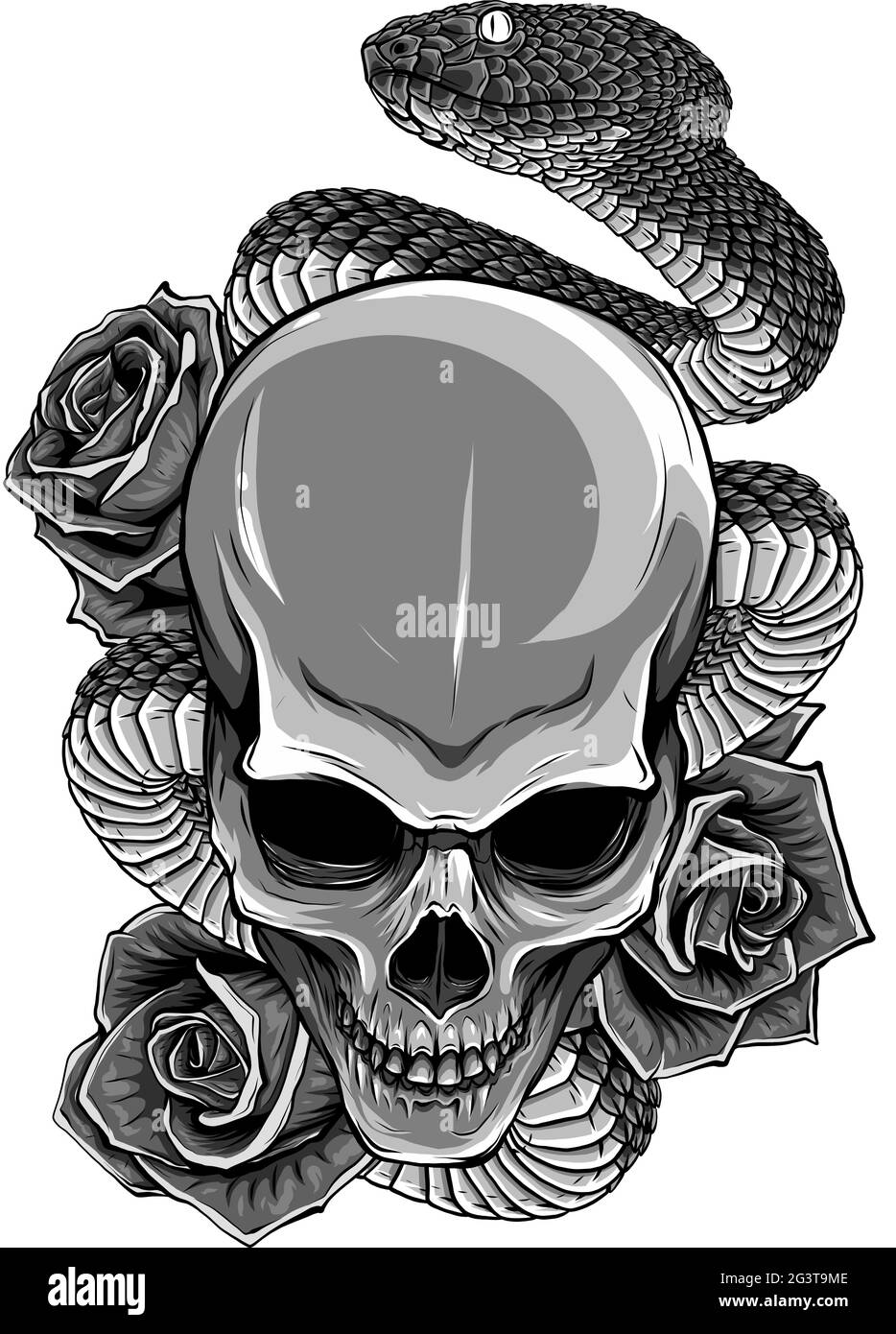 vector illustration of skull, roses and snake Stock Vector