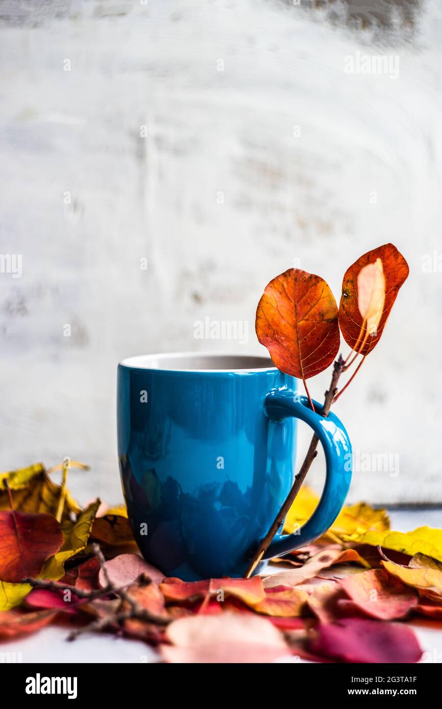 Autumnal cup of coffee Stock Photo