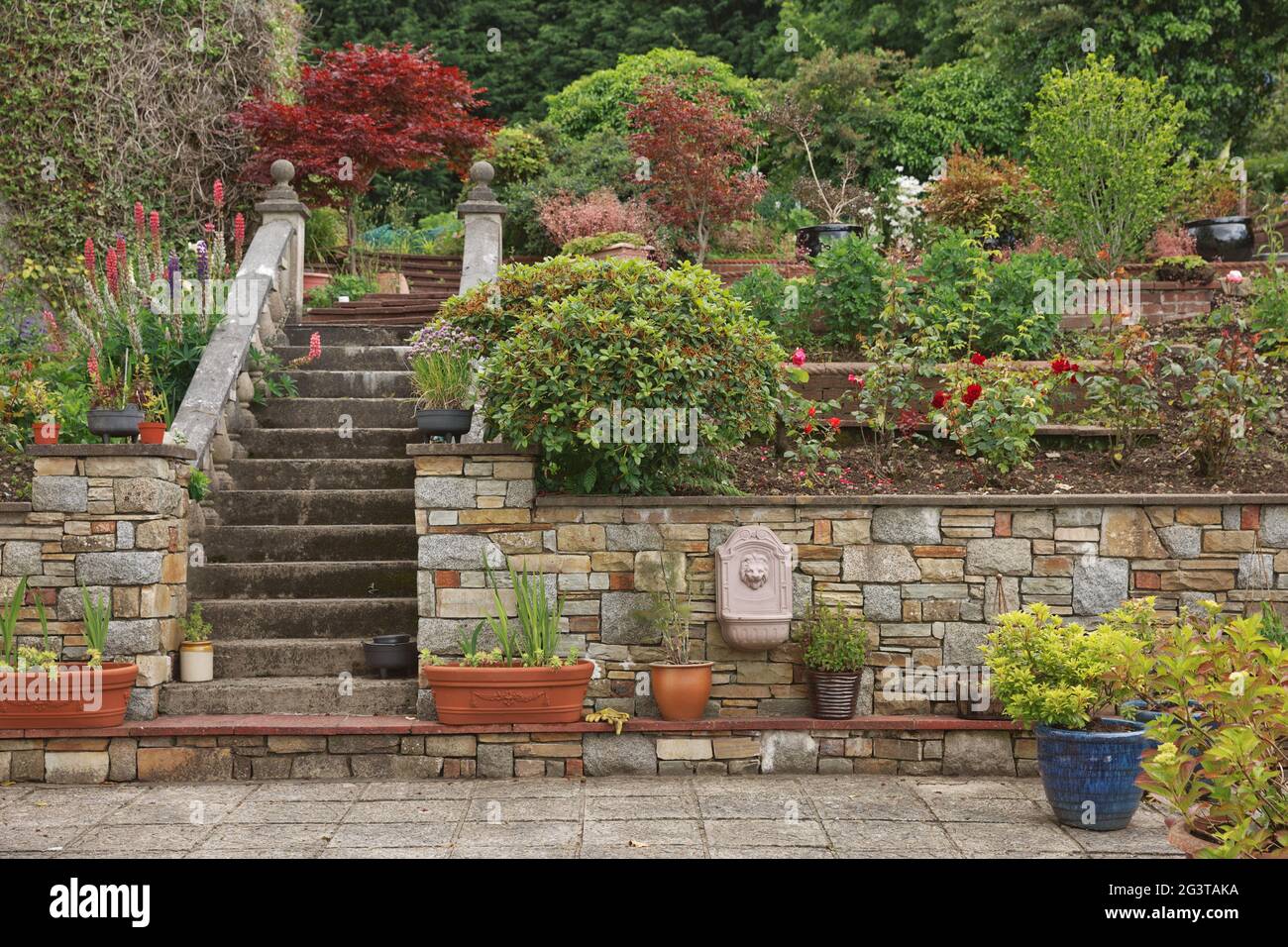 Natural stone steps and retaining wall, planter and garden border framing home entrance Stock Photo