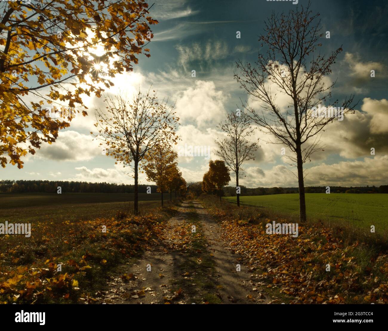 Autumn vibes at day with clouds in dabelow Mecklenburg-West Pomerania Germany Europe Stock Photo
