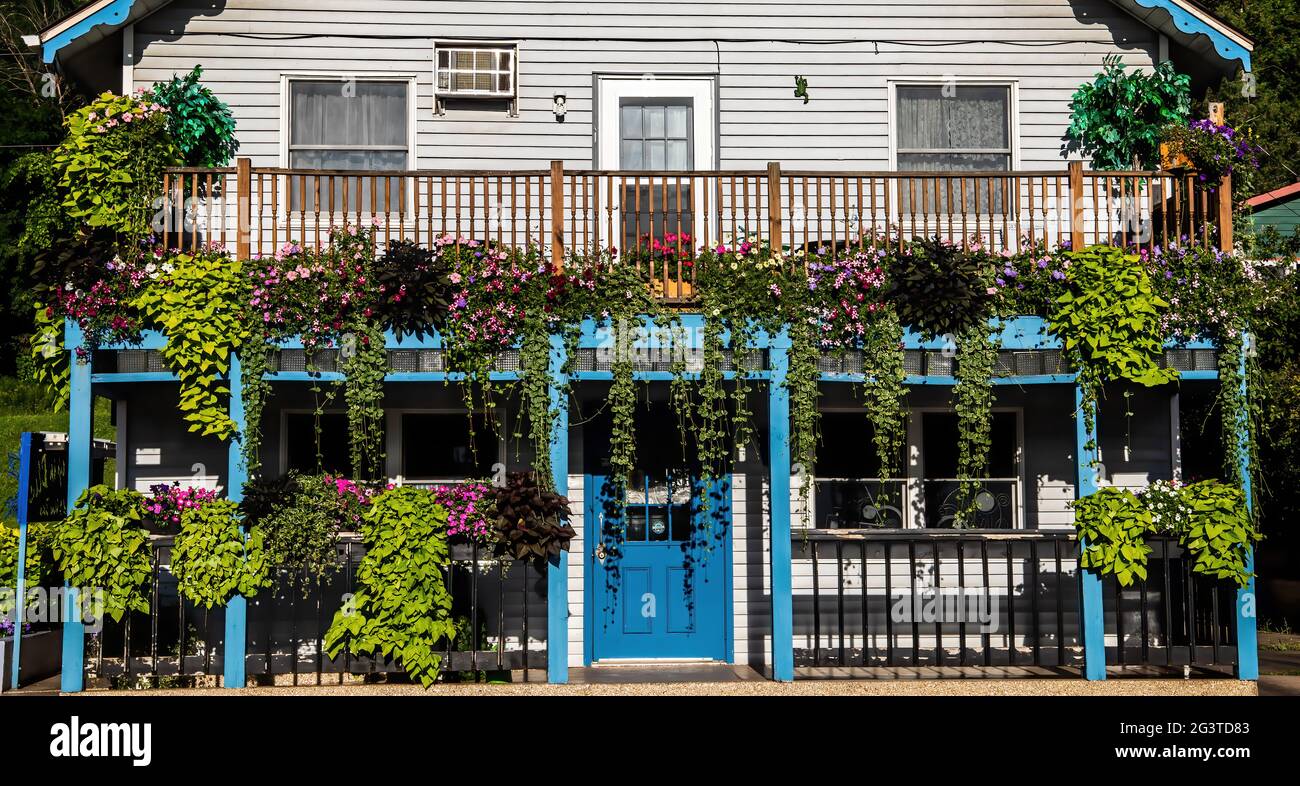 Lots of flowers on the balcony and in pots at Tangled Up in Blue