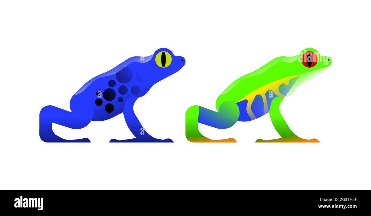 Poison dart frog illustration set on isolated white background. Exotic jungle animal concept. Educational wildlife design in modern cartoon style. Stock Vector